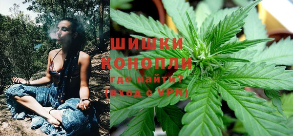 шишки Абаза