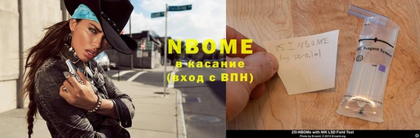 индика Сясьстрой
