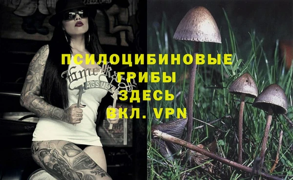 кокс Тавда