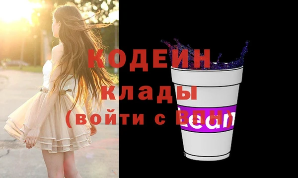 индика Сясьстрой