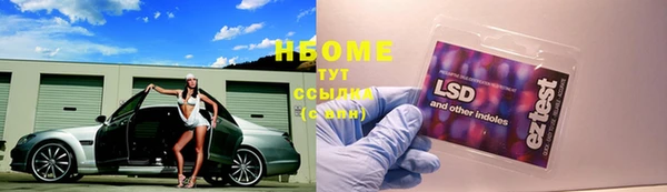 индика Сясьстрой