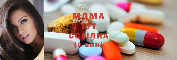 индика Сясьстрой