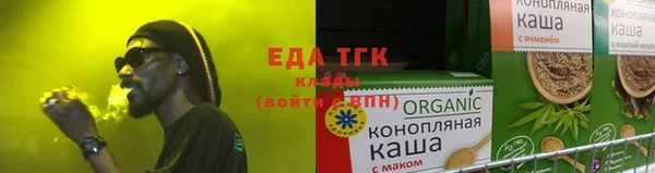 индика Сясьстрой
