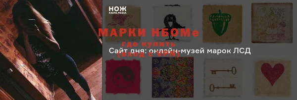 индика Сясьстрой