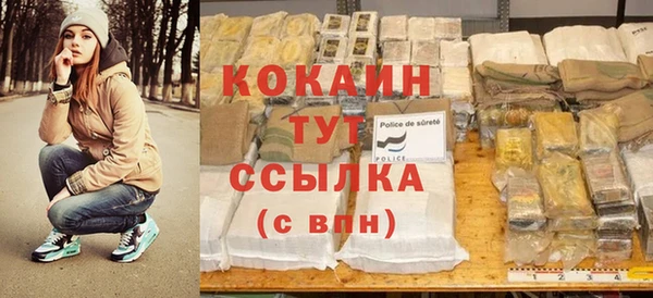 шишки Абаза