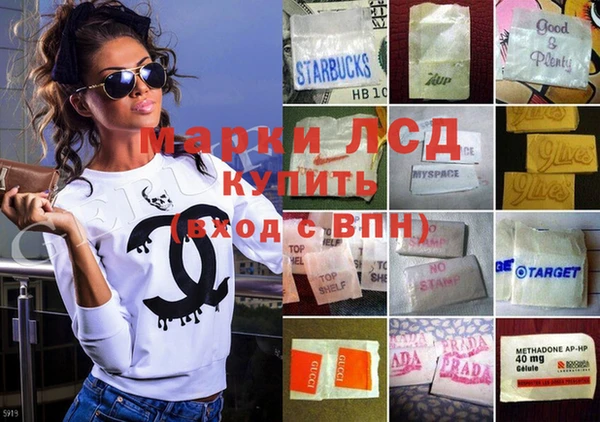 сатива Абинск