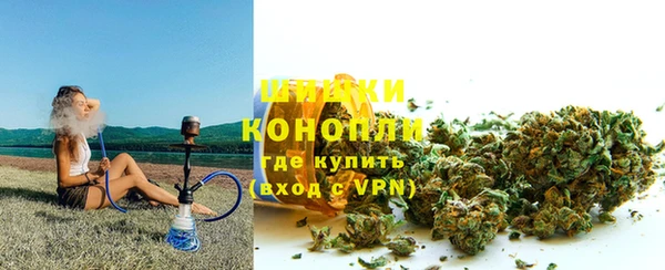 шишки Абаза