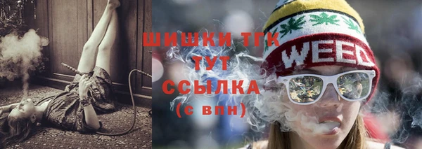 индика Сясьстрой