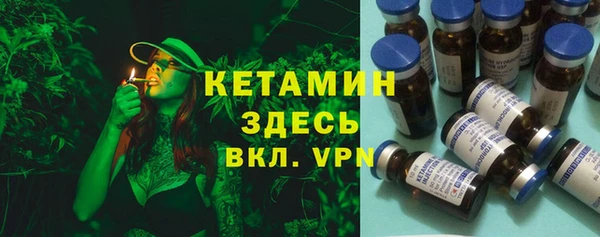 шишки Абаза